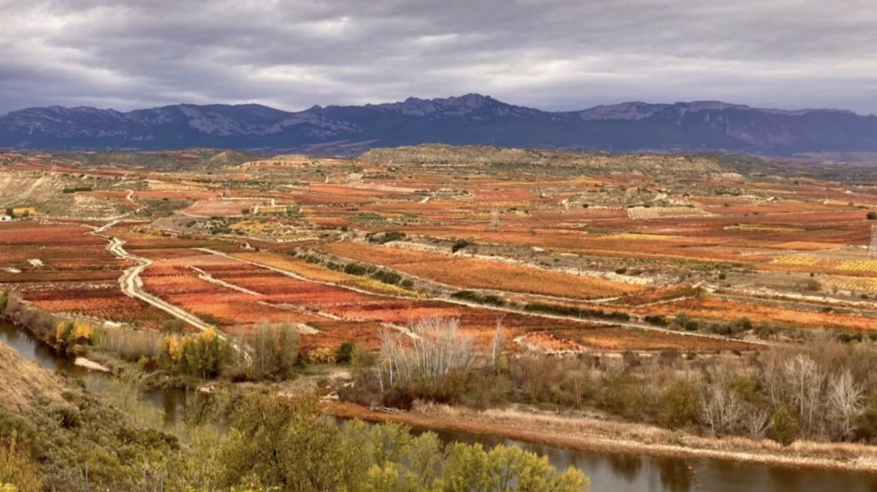 La Pilarcita Centro Διαμέρισμα Fuenmayor Εξωτερικό φωτογραφία